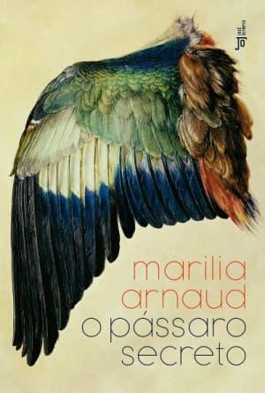 Capa do livro O pássaro secreto