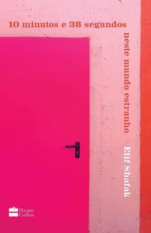 Capa do livro 10 minutos e 38 segundos neste mundo estranho
